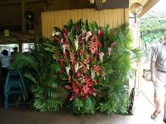 04_Hawaii_3 011.jpg (71729 bytes)